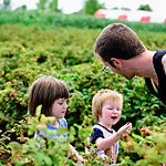 Man picking berries with children