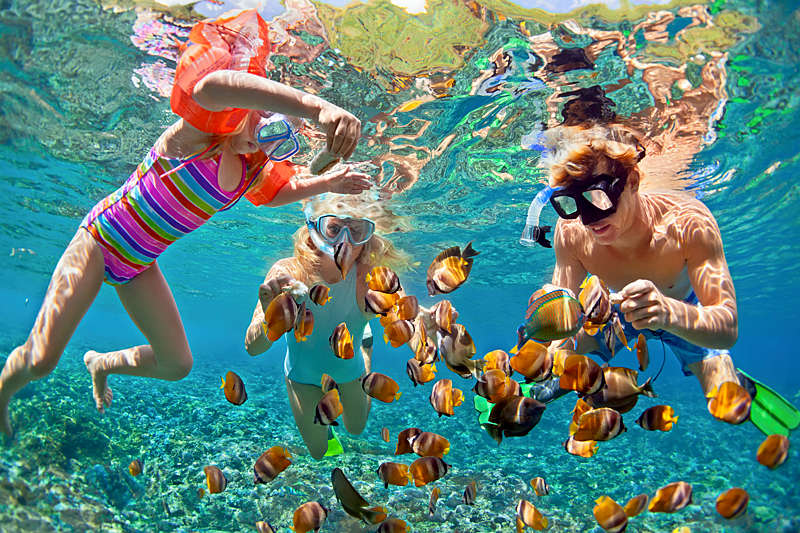 Family snorkeling underwater.
