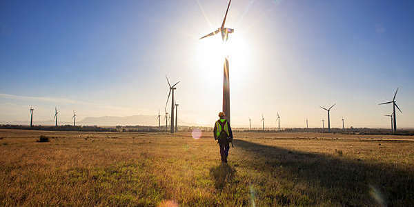 Engineer walking through a wind farm at sunset.