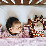 Newborn baby sleeping in crib with a plush giraffe